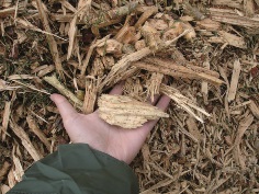 Uso de biomassa sólida 
