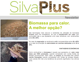 Lançamento de nova Newsletter Silvaplus