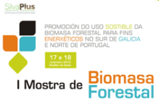Jornada Las posibilidades energéticas de la biomasa forestal en viviendas y edificaciones
