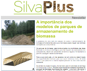 A importância dos modelos de parques de armazenamento de biomassa
